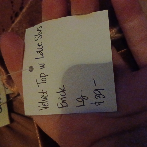 Velvet long sleeved lace sleeves.  The color is brick. - Picture 9 of 9